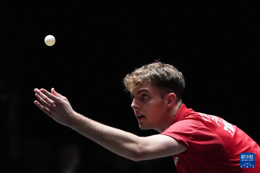 和团队合作 和团队合作