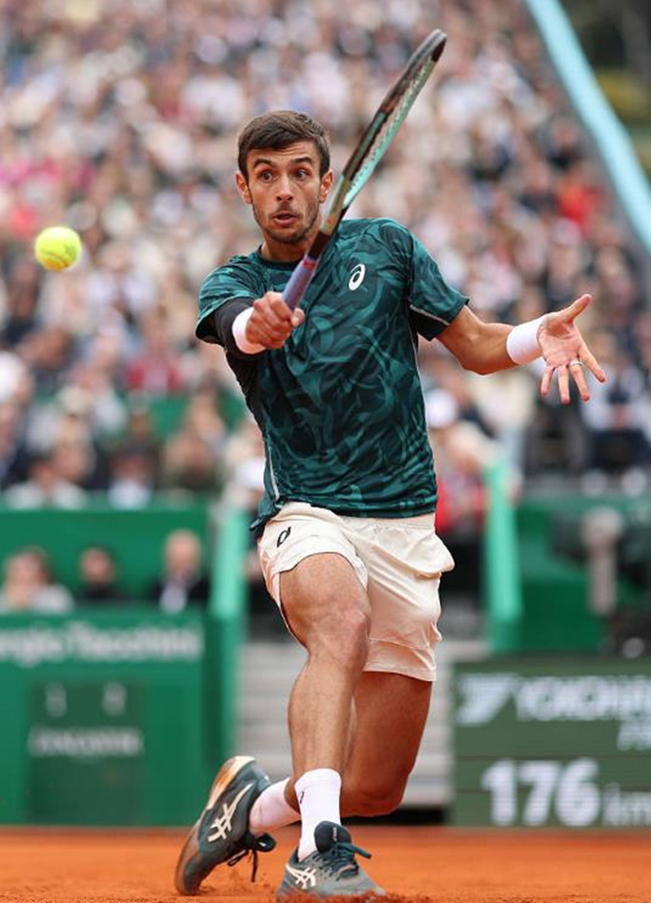 涉及网络犯 涉及网络犯