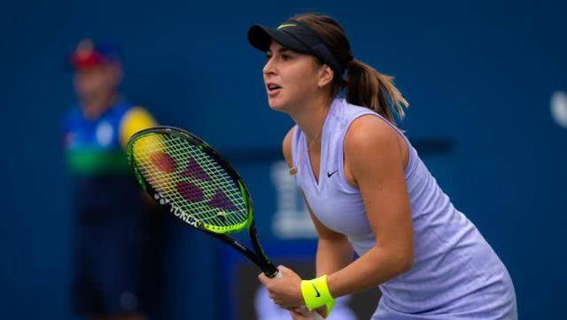 领域的情感 领域的情感